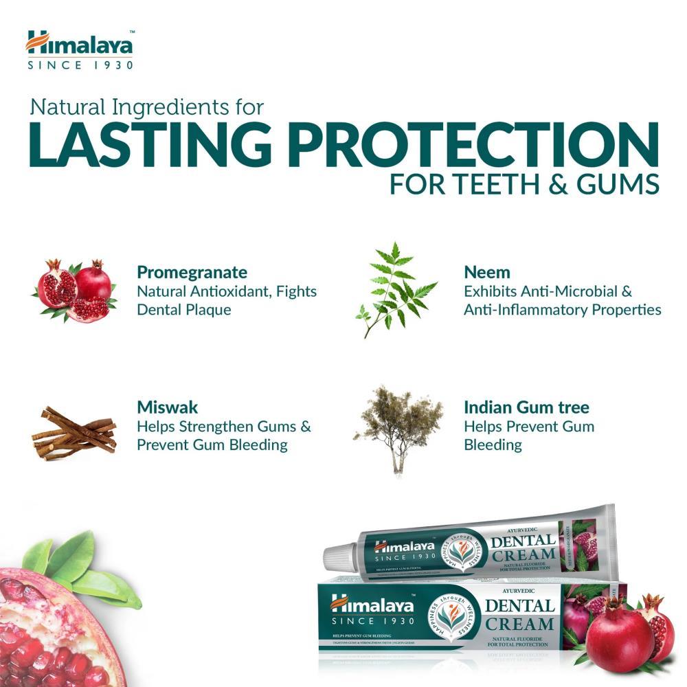 Pasta De Dentes Com Neem Ayurvedica Natural Himalaya 100G