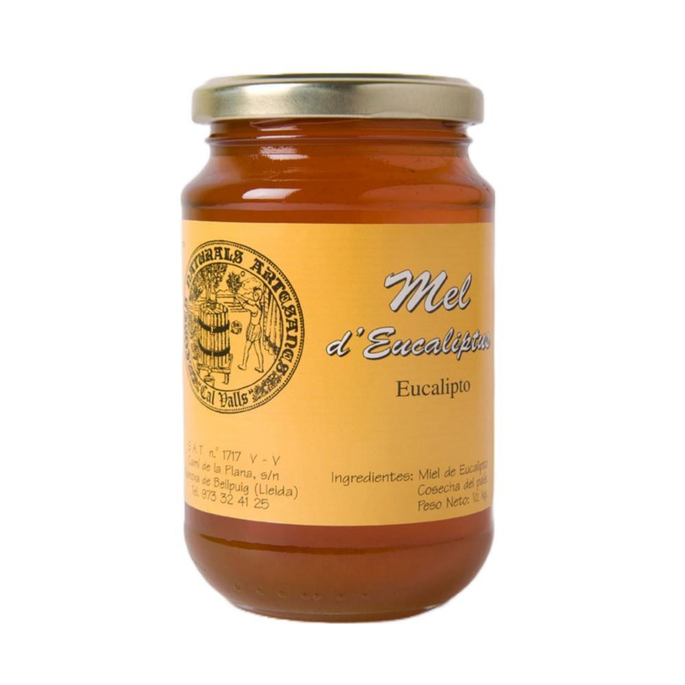 Mel De Eucalipto 500g