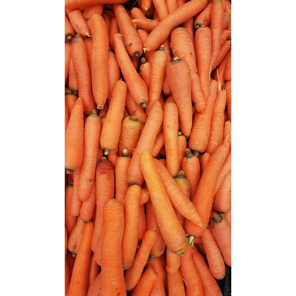 Cenoura Bio 140 gr (aprox)