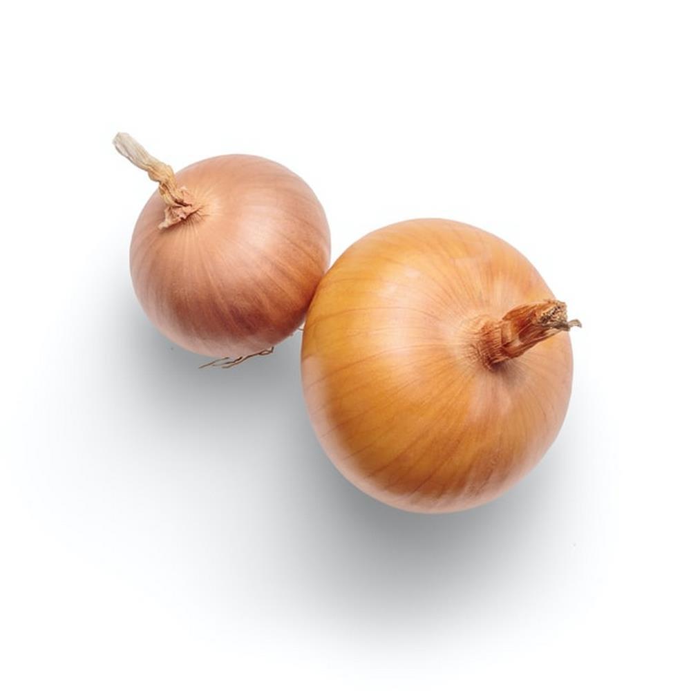 Cebola Bio 120 gr (aprox)