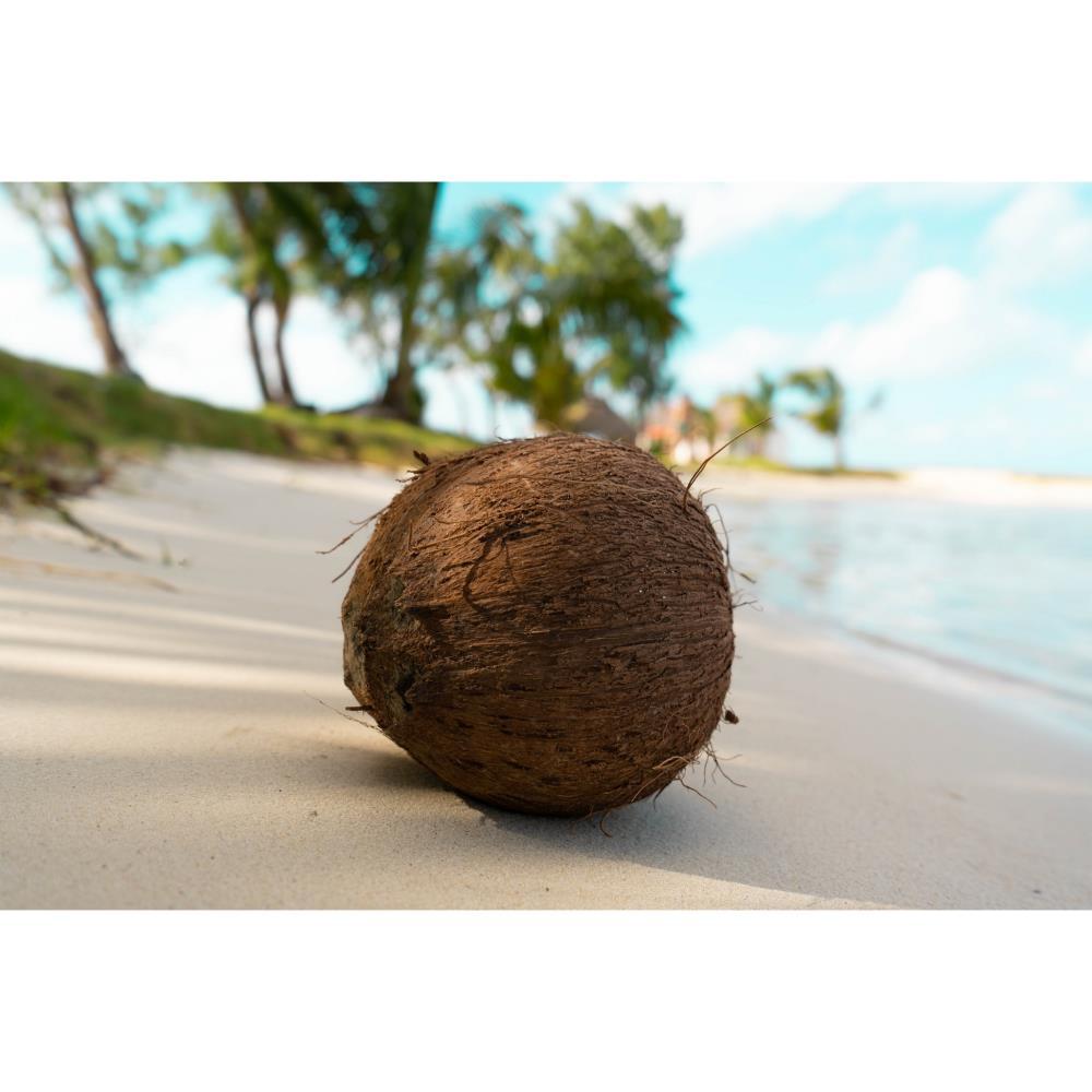 Coco Bio 150 gr (aprox)