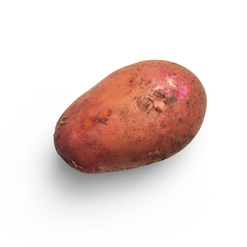 Batata Vermelha Bio 150 gr (aprox)
