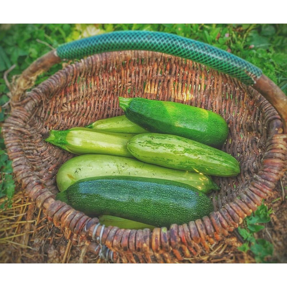 Courgette Bio 200 gr (aprox)