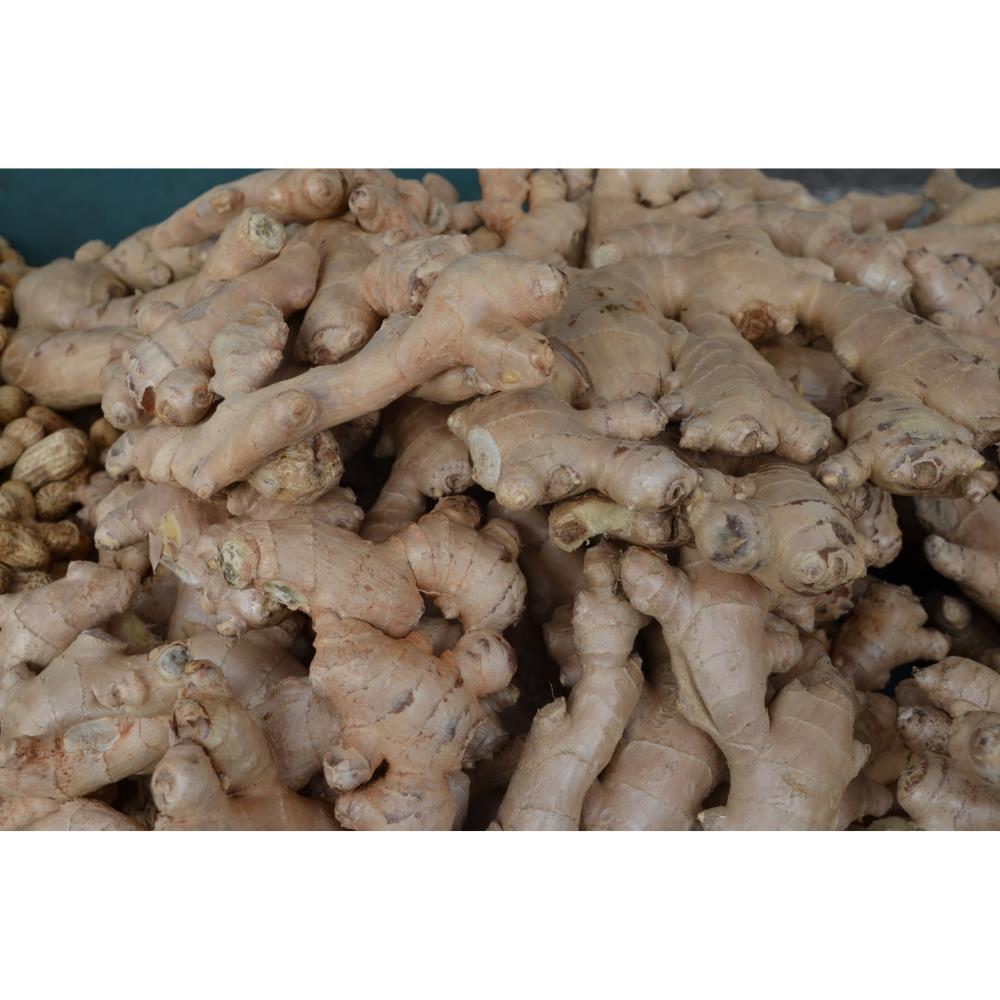 Gengibre Bio gr (aprox)