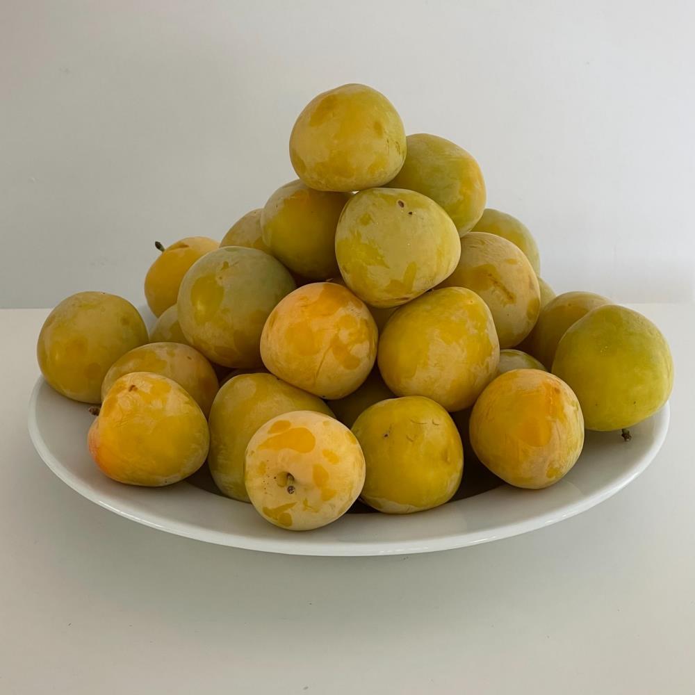 Ameixa Amarela Bio gr (aprox)