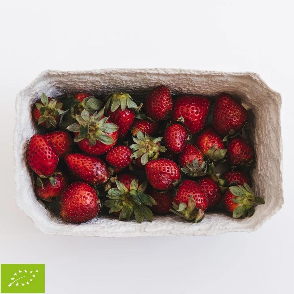 Morango Bio 500 gr (aprox)