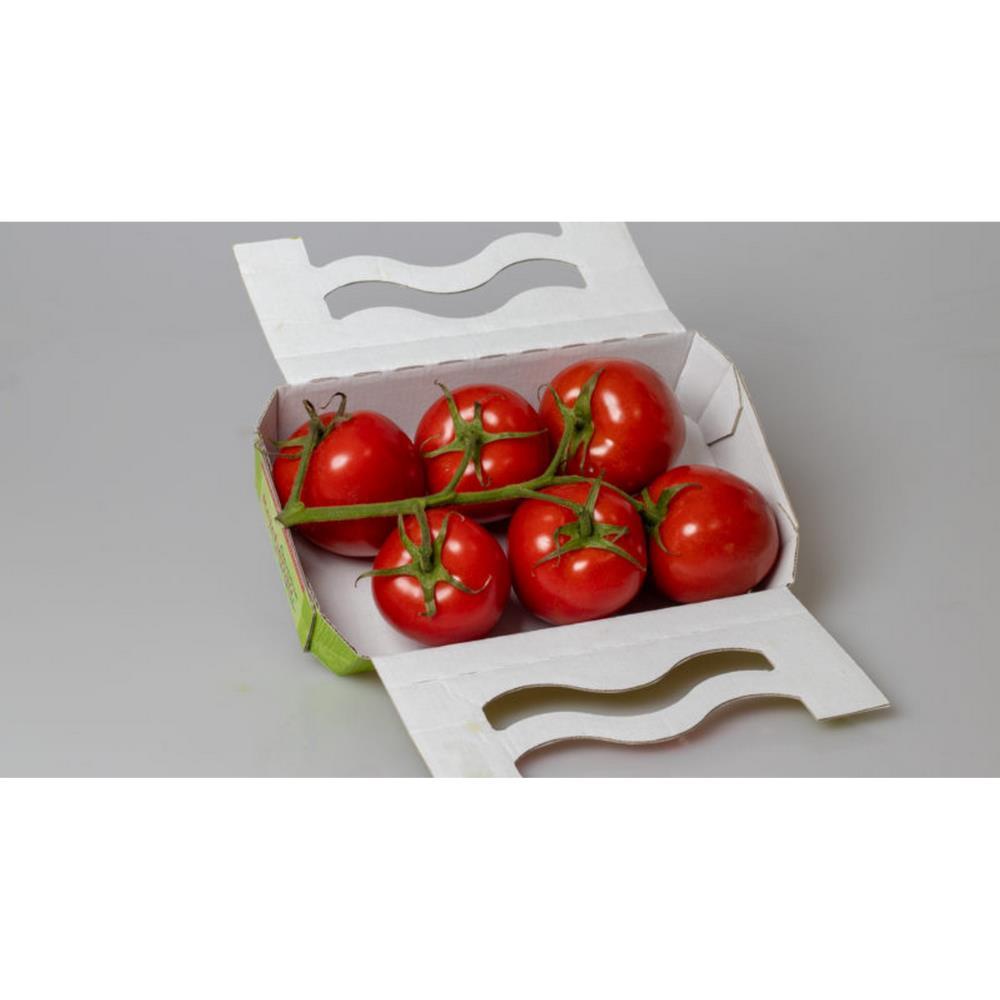 Tomate Redondo Bio 500 gr (aprox)