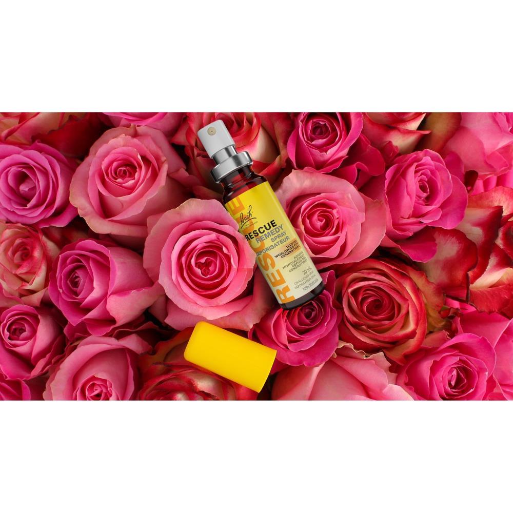 Bach Rescue Remedy Em Spray 20Ml