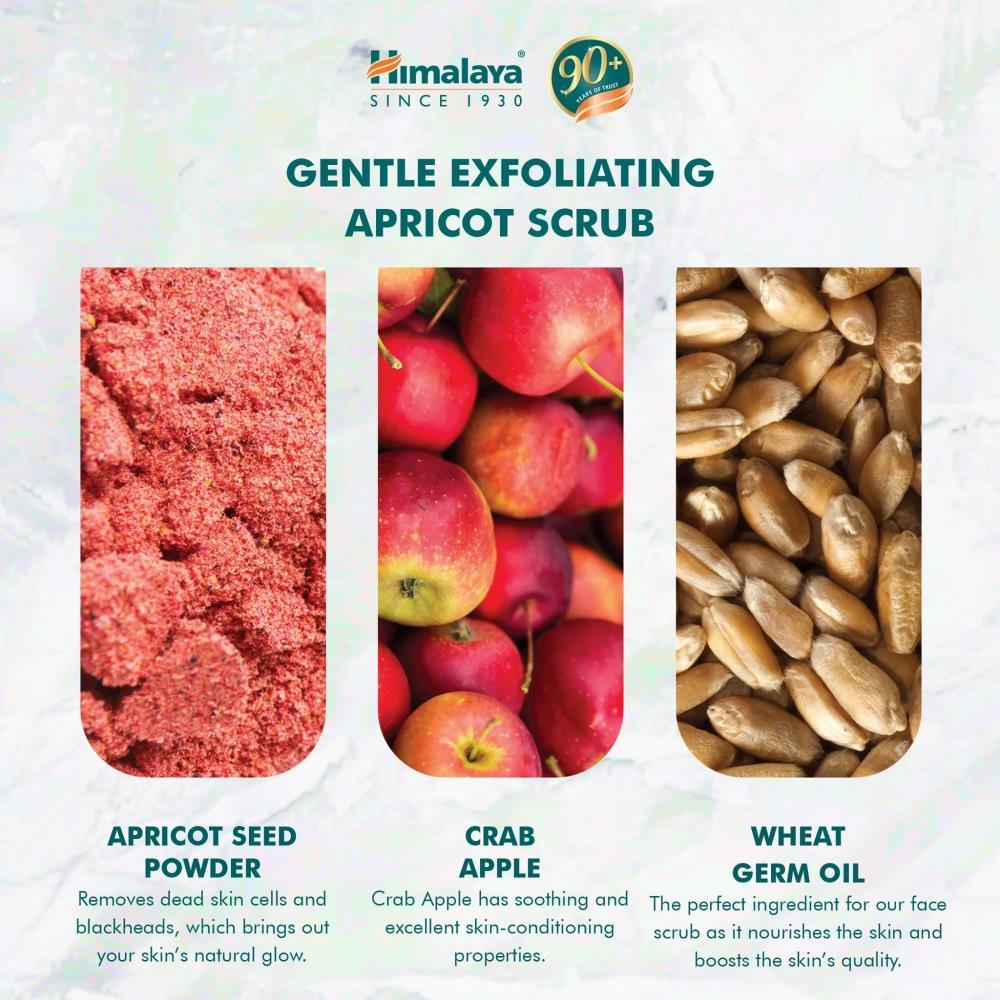 Apricot Himalaya Gentle Face Scrub 75ml
