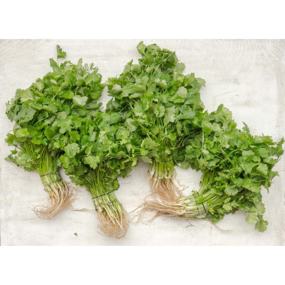 Organic Salsa 30g