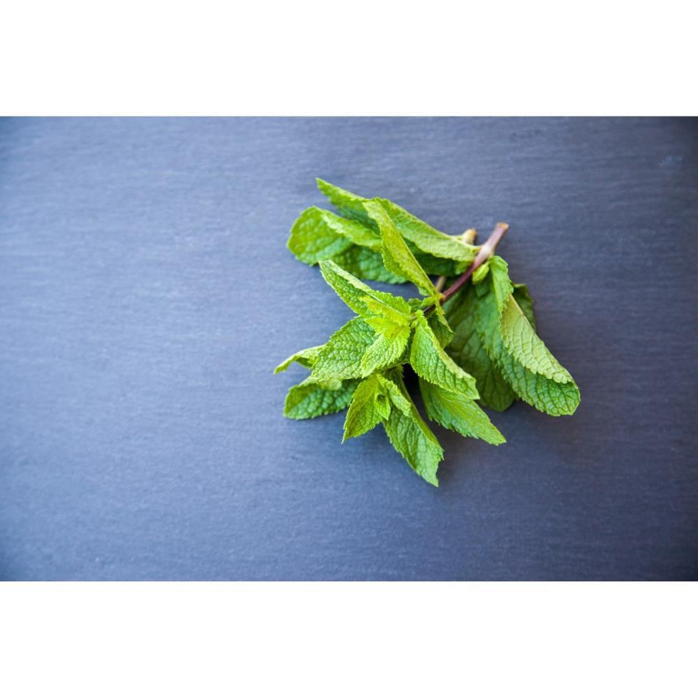 Organic Mint 30g