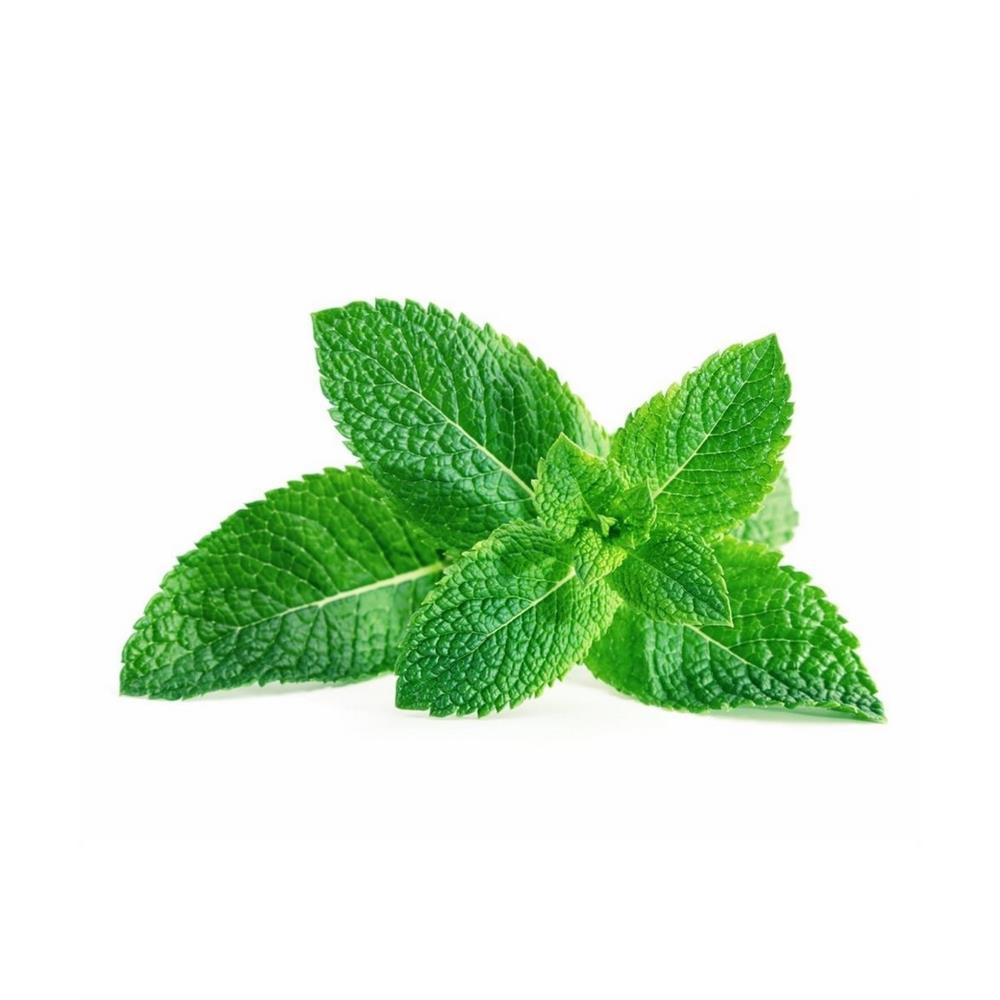 One Hundred Percent Bio Mint Tea Infusion 10 Sachets