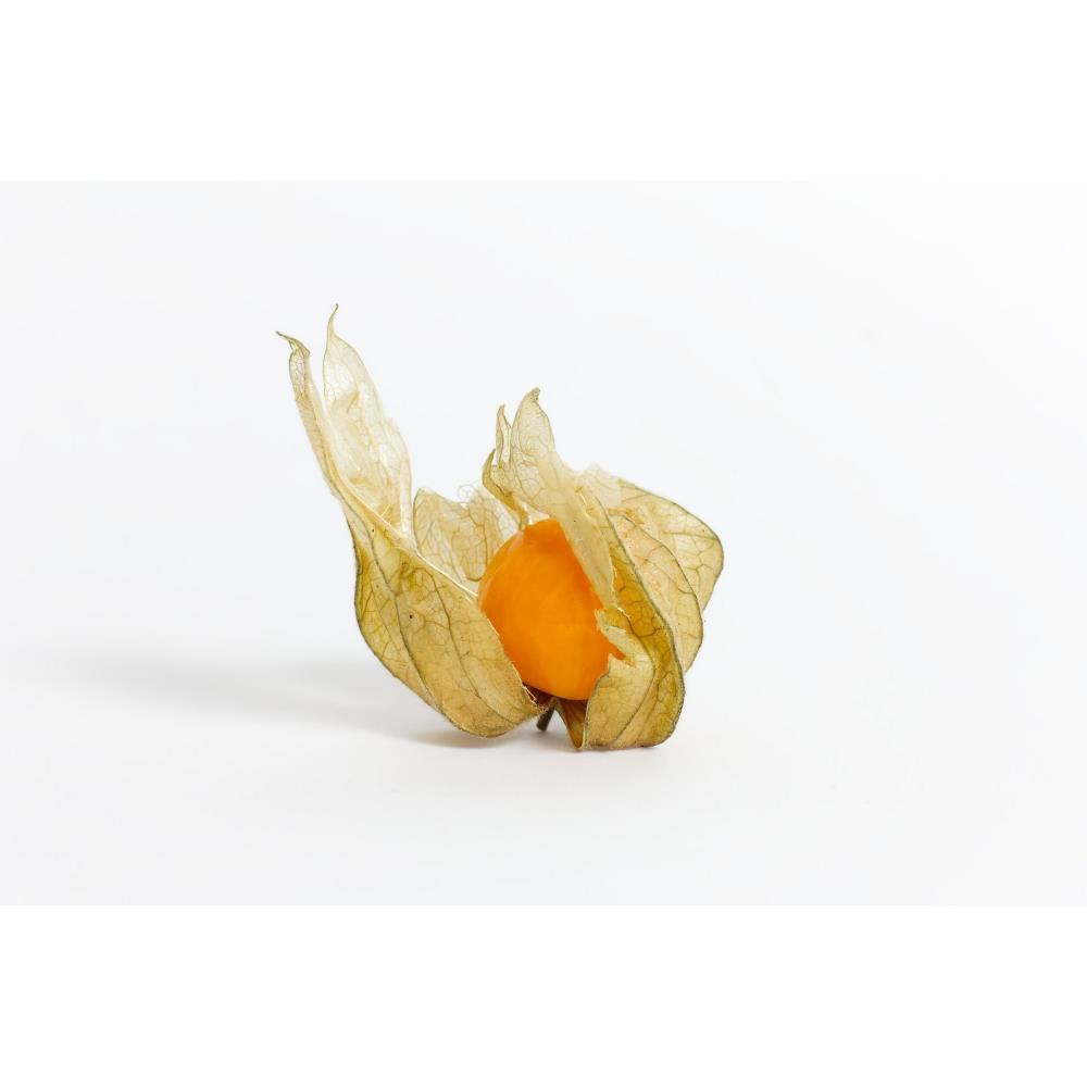 Physalis Bio 125g