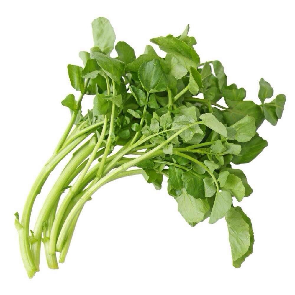 Cress Bio Emb