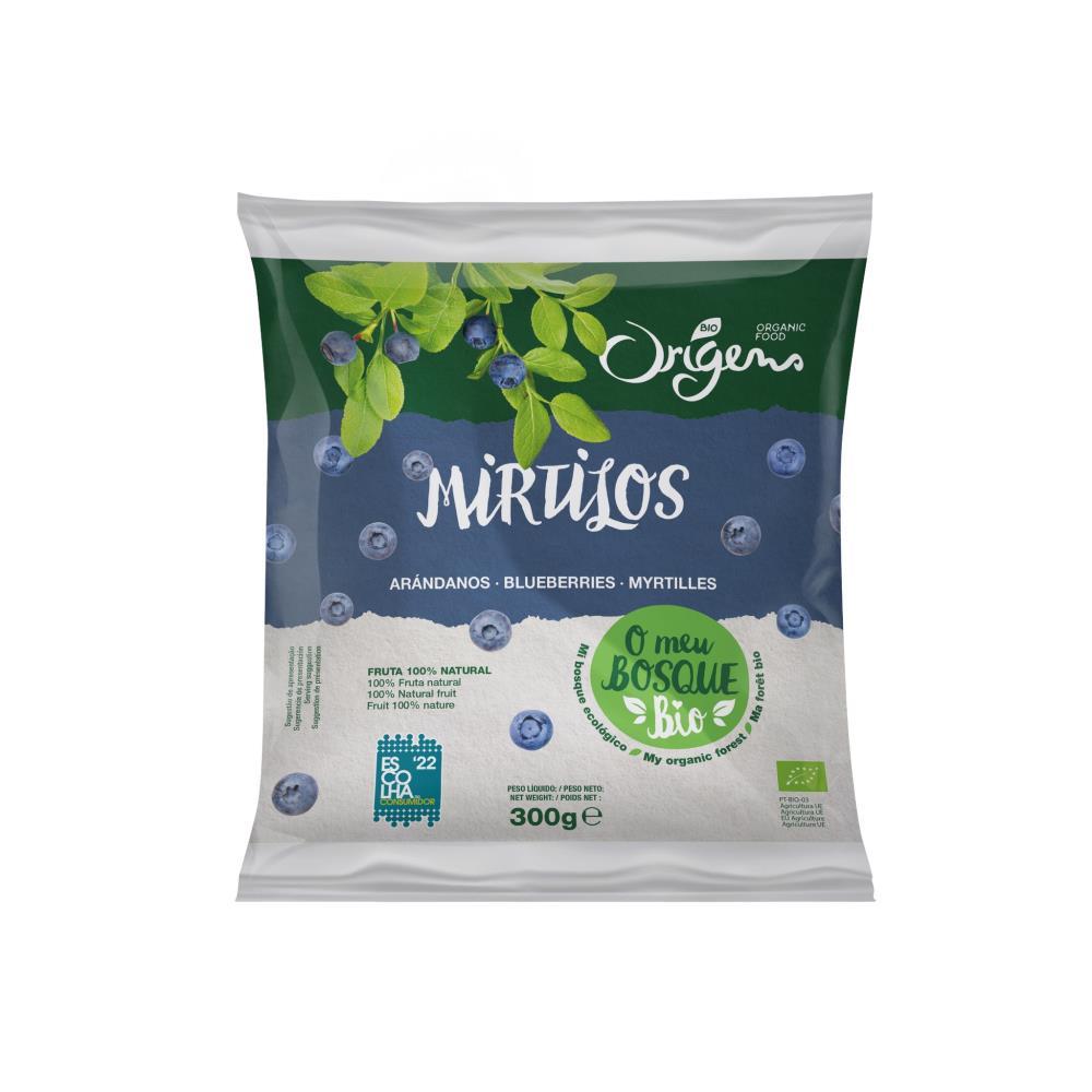 Frozen Blueberries Origins Bio 300g