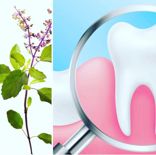 Sabia que o Tulsi pode ajudar a melhorar a sua saúde oral?