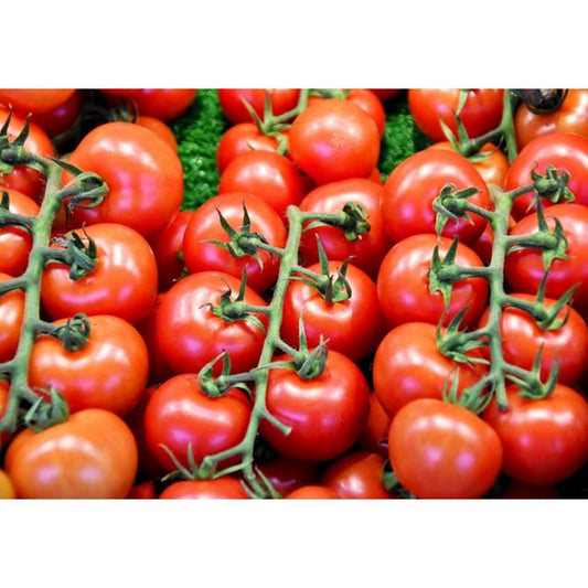 Organic Branch Tomato 100 gr (approx)