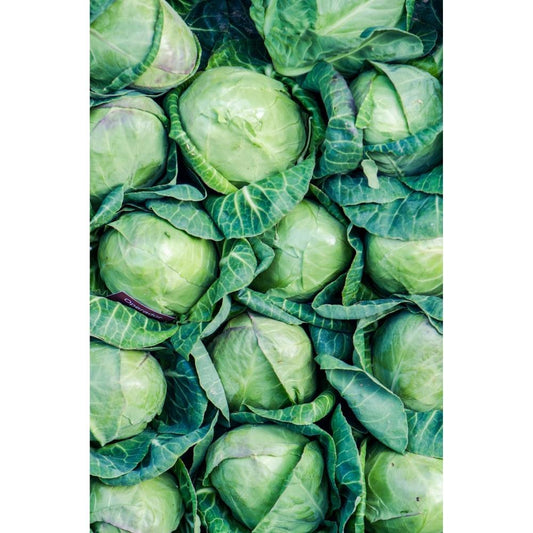 Organic Heart Cabbage 660 gr (approx)
