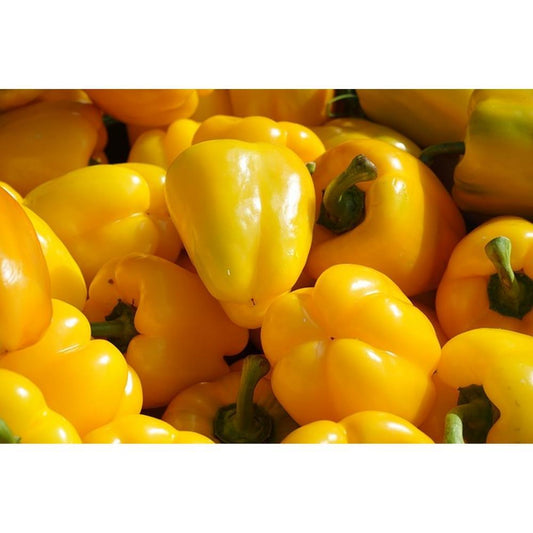 Organic Yellow Pepper 200 gr (approx)
