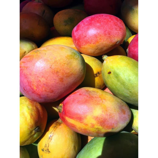 Bio Mango 450 gr (approx)