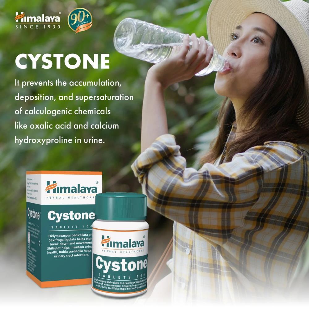 Cystone Himalaya 100 Comprimidos