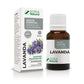 Óleo Essencial Lavanda Sorial Natural 10ML