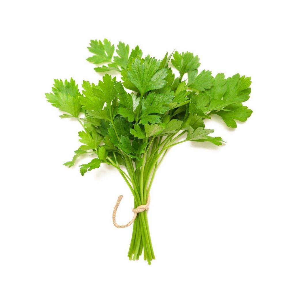 Organic coriander 30g