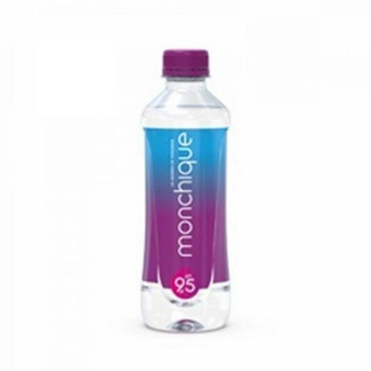 Agua Monchique 340ML